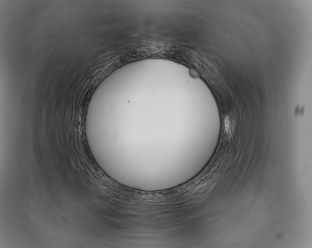 X0000091501203200708161227