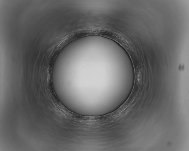 X0000091501204200708161227