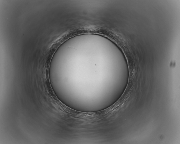 X0000091501205200708161227