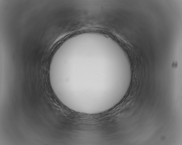 X0000091501206200708161227