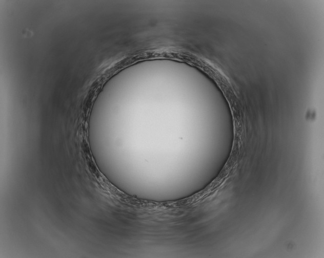 X0000091501207200708161227
