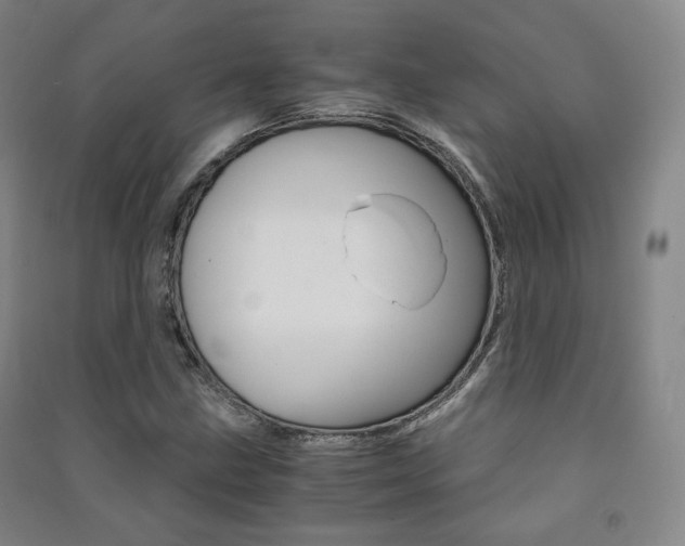 X0000091501211200708161227