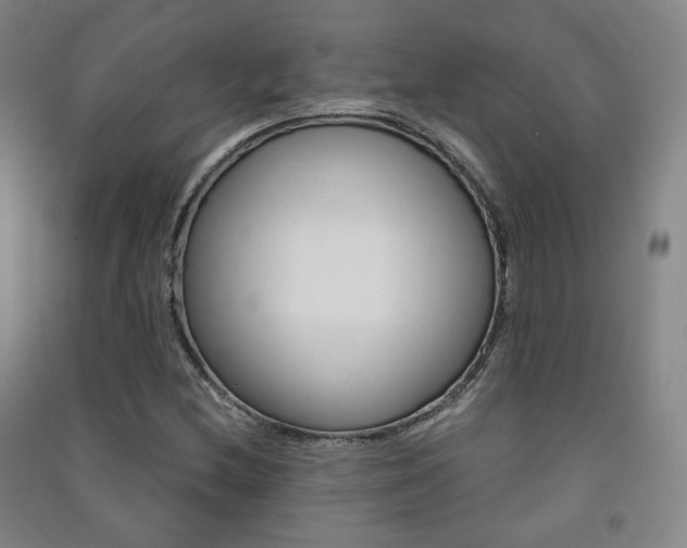 X0000091501212200708161227