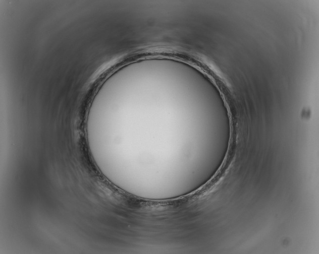 X0000091501213200708161227