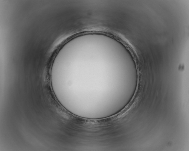 X0000091501215200708161227