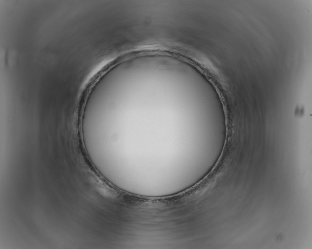 X0000091501216200708161227