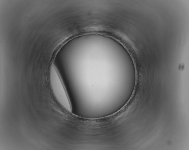 X0000091501217200708161227