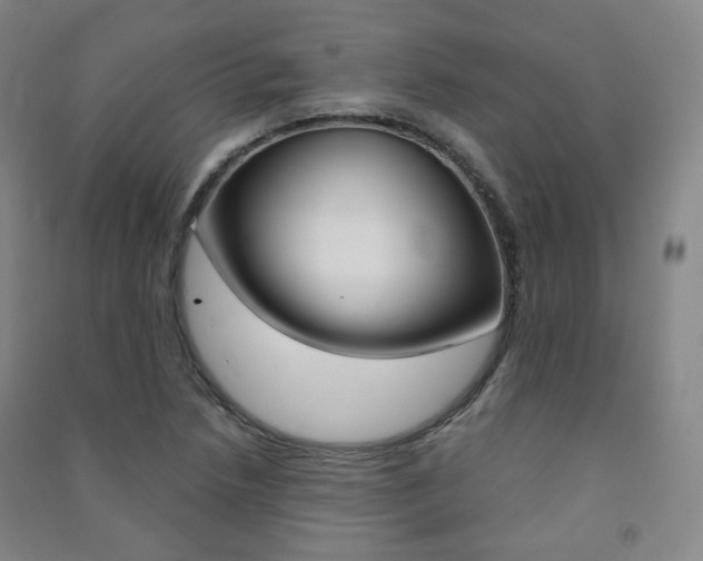 X0000091501218200708161227