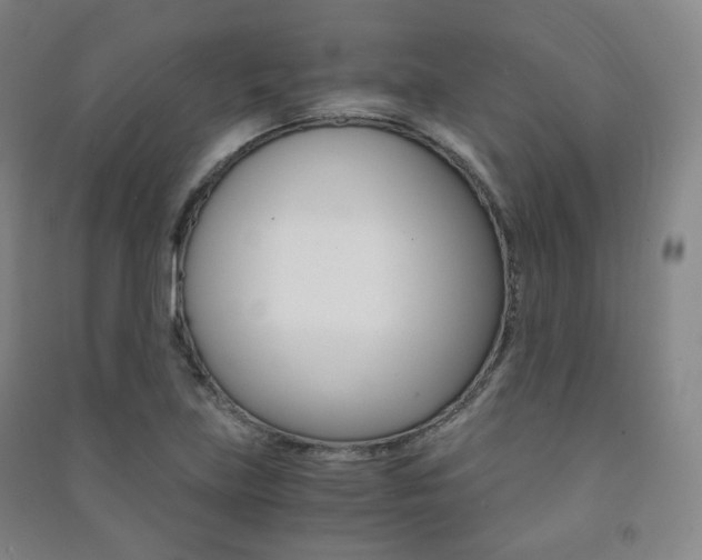 X0000091501219200708161227