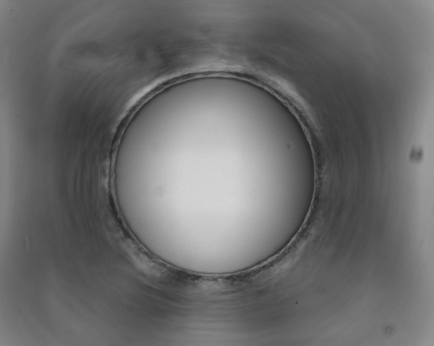 X0000091501220200708161227