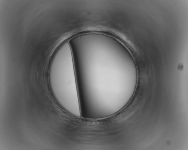 X0000091501221200708161227
