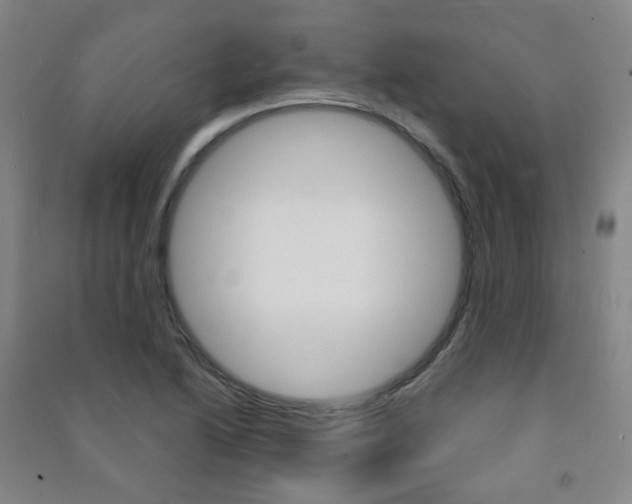 X0000091501222200708161227