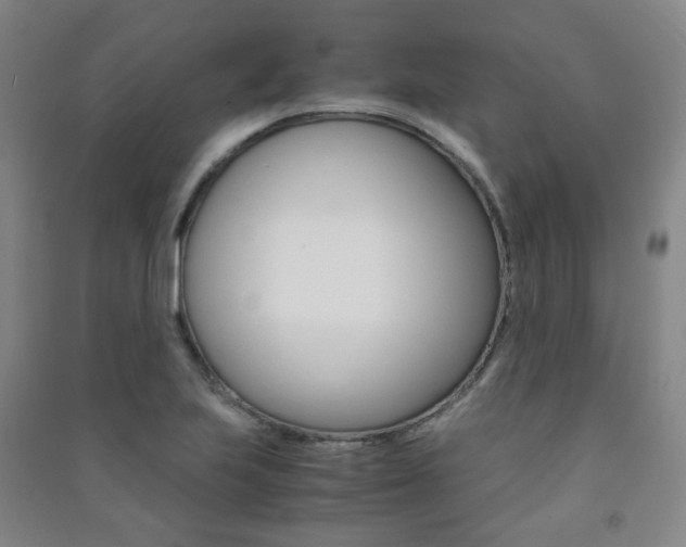 X0000091501223200708161227