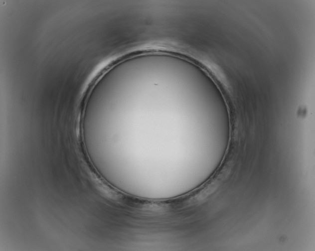 X0000091501224200708161227