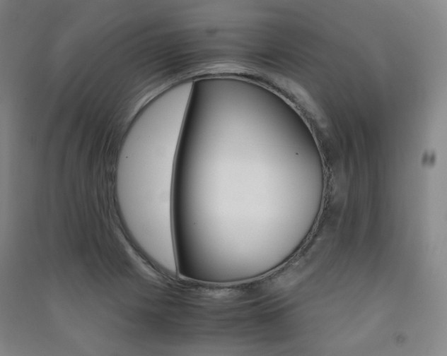X0000091501225200708161227