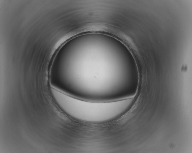 X0000091501226200708161227