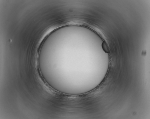 X0000091501227200708161227