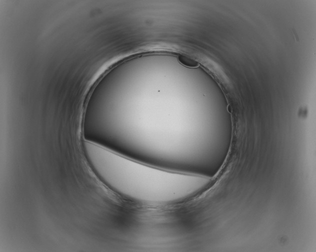 X0000091501228200708161227
