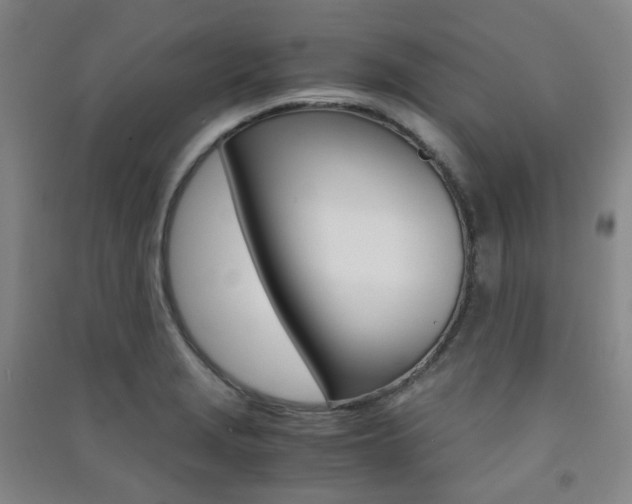X0000091501229200708161227