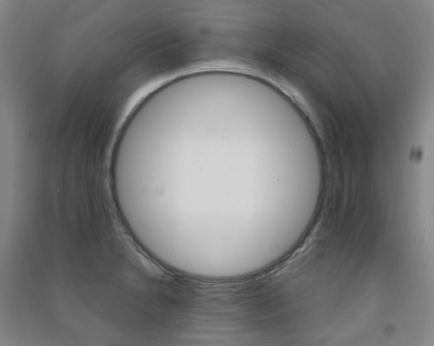 X0000091501230200708161227