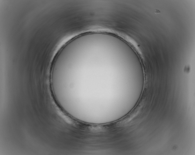 X0000091501231200708161227