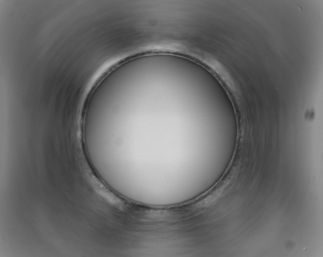 X0000091501232200708161227