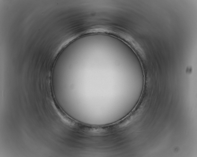 X0000091501233200708161227