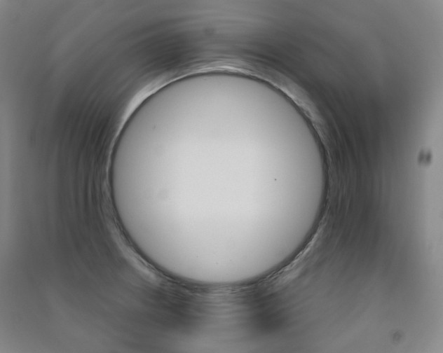 X0000091501234200708161227