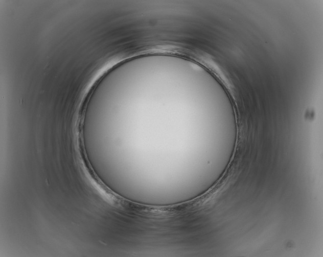 X0000091501235200708161227