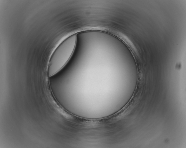 X0000091501236200708161227