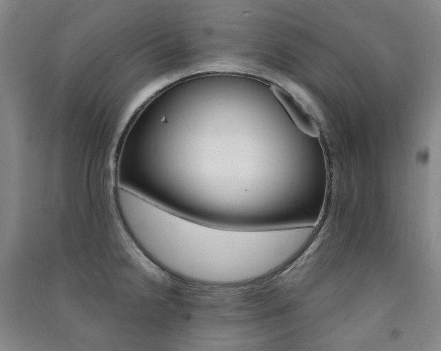 X0000091501238200708161227