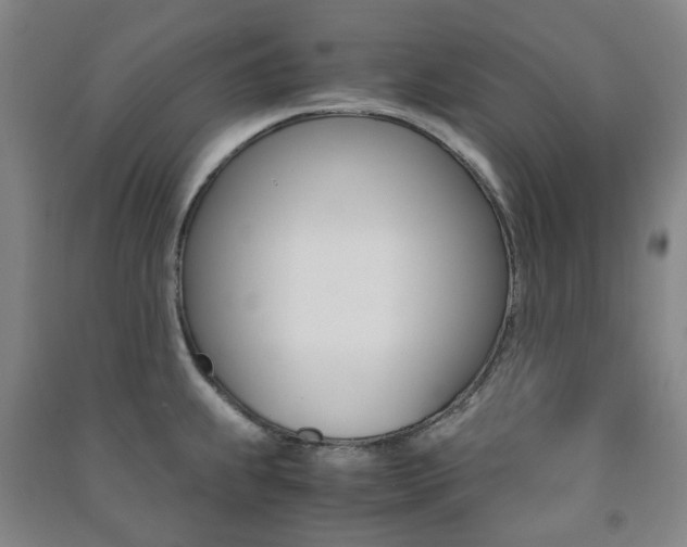 X0000091501239200708161227