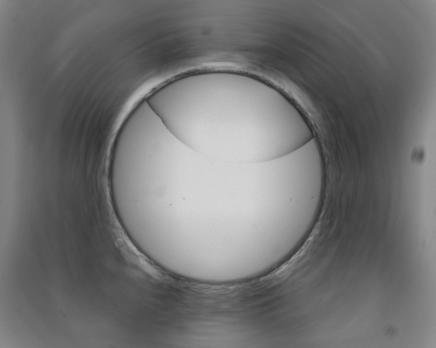 X0000091501240200708161227