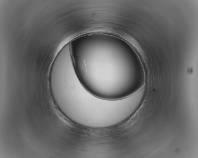 X0000091501242200708161227