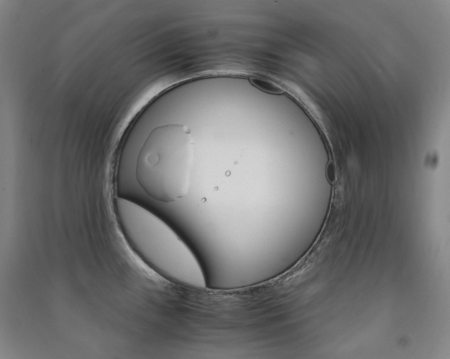 X0000091501243200708161227