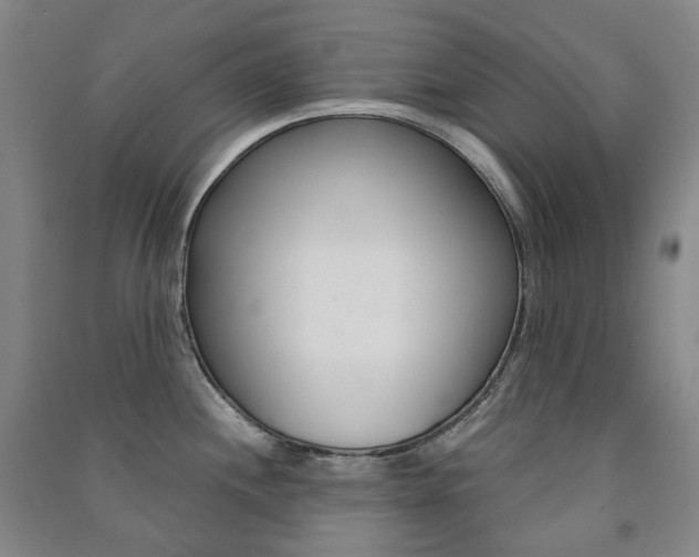X0000091501244200708161227