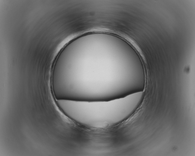 X0000091501245200708161227