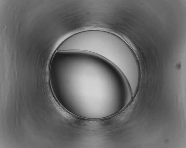 X0000091501246200708161227