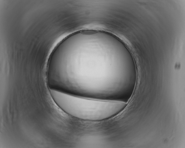 X0000091501248200708161227