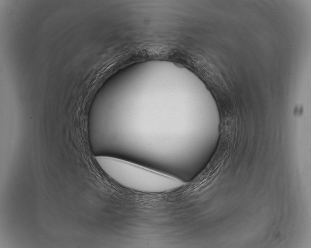 X0000091501249200708161227
