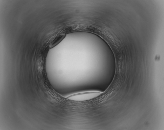 X0000091501250200708161227