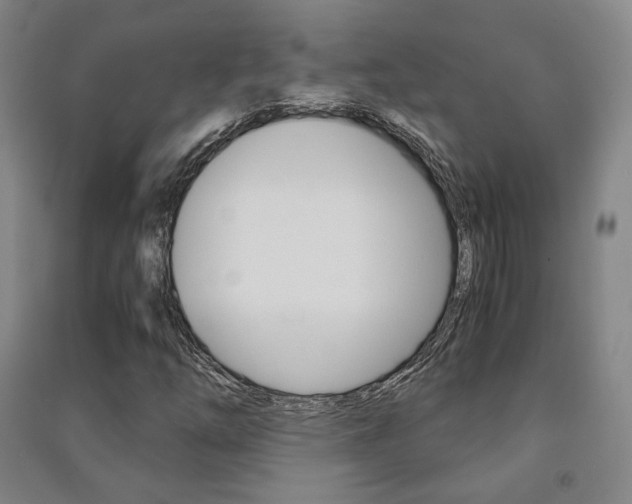 X0000091501254200708161227
