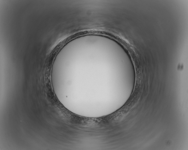 X0000091501255200708161227