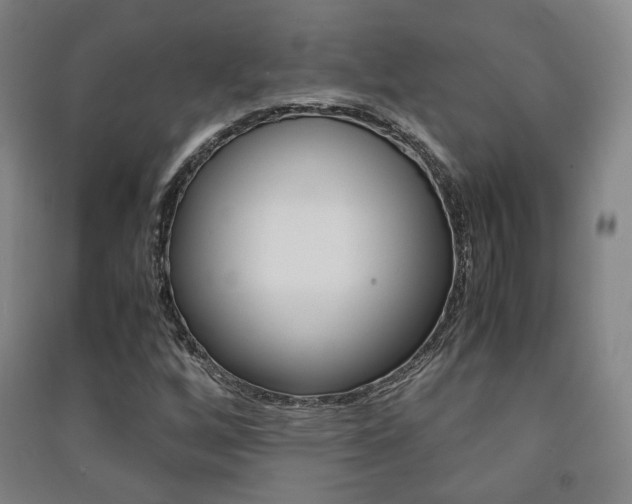 X0000091501256200708161227