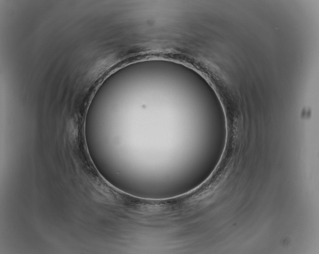 X0000091501257200708161227