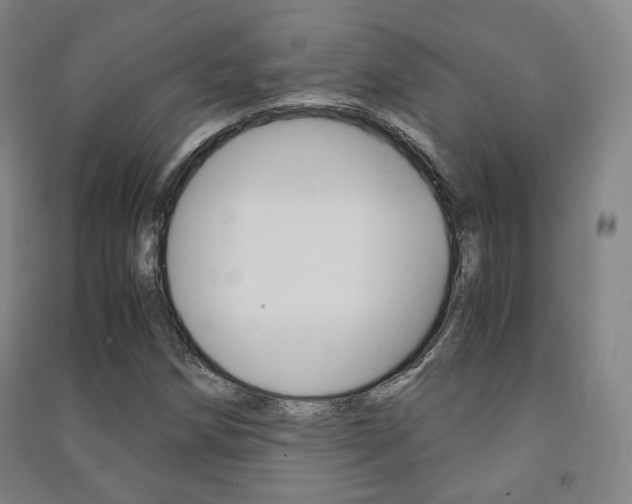 X0000091501258200708161227
