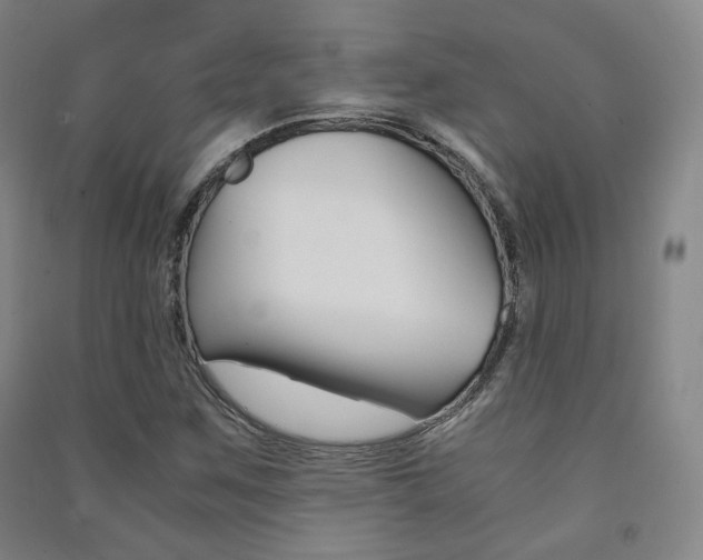 X0000091501259200708161227