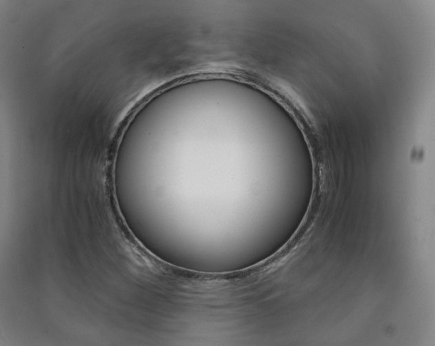 X0000091501260200708161227