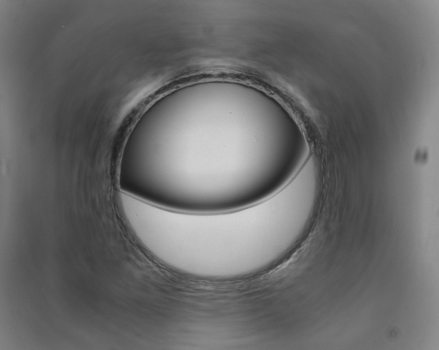 X0000091501261200708161226