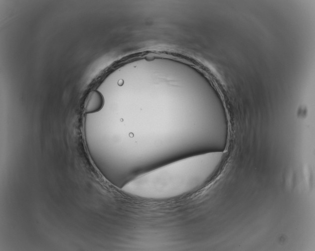 X0000091501263200708161226
